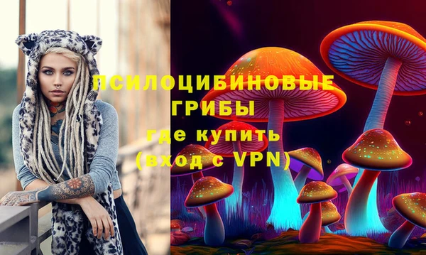 мдпв Армянск