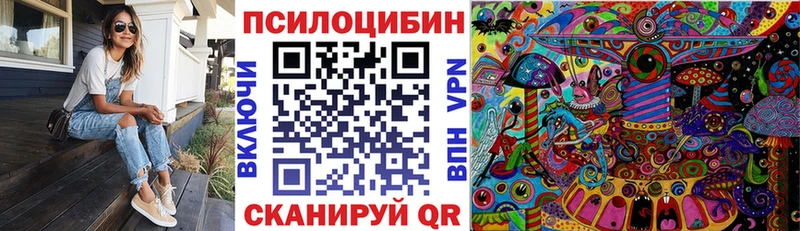 блэк спрут как зайти  как найти наркотики  Моздок  Галлюциногенные грибы Magic Shrooms 