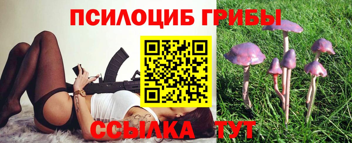 Псилоцибиновые грибы прущие грибы  Псилоцибиновые грибы MAGIC MUSHROOMS  Моздок  Вход с VPN 