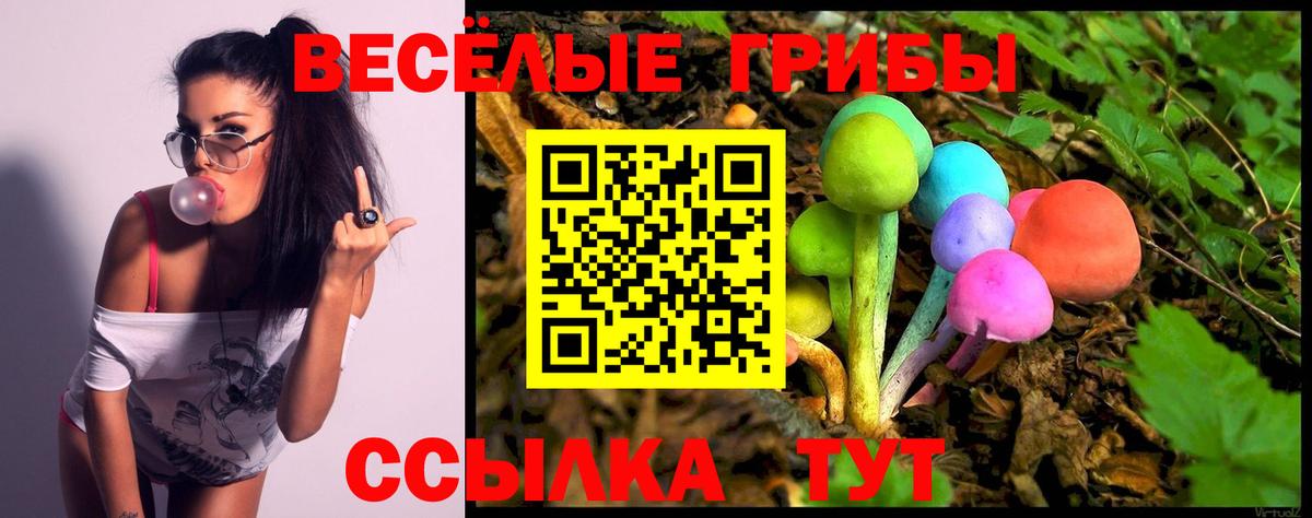 Псилоцибиновые грибы прущие грибы Моздок