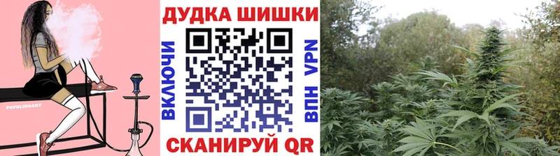 Каннабис семена  Моздок 