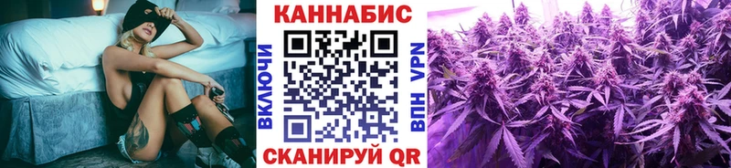 Шишки марихуана марихуана Моздок